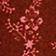 Pink Pattern