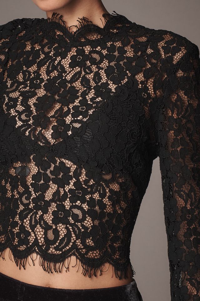 Endless Rose Long-Sleeve Lace Top | Anthropologie