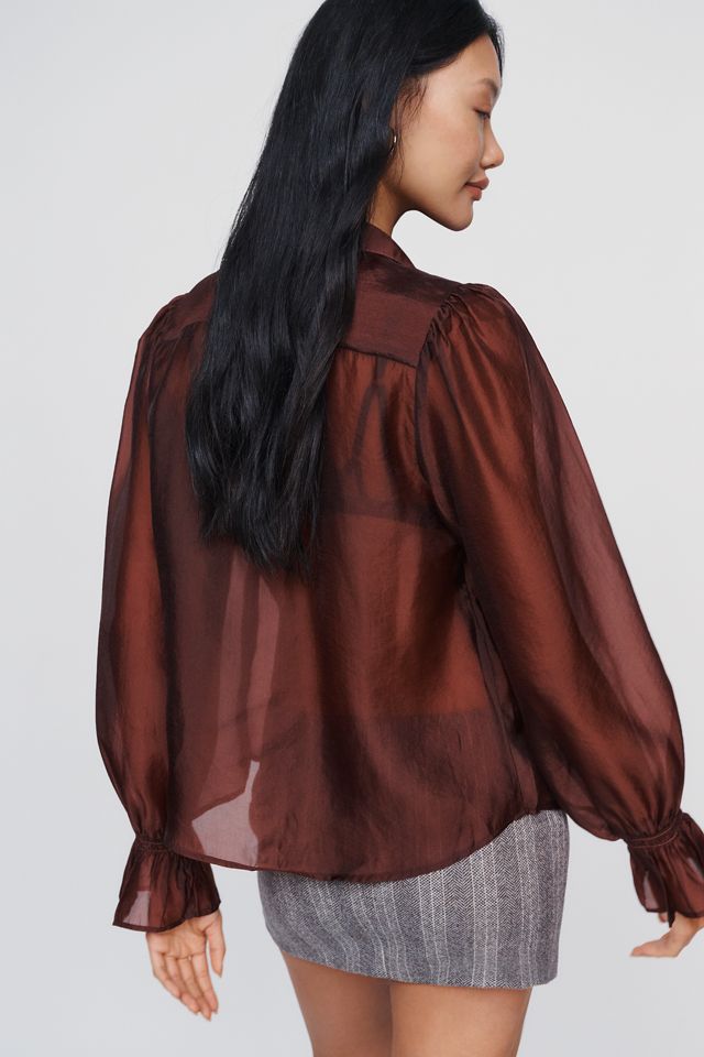 By Anthropologie Sheer Buttondown Blouse #3