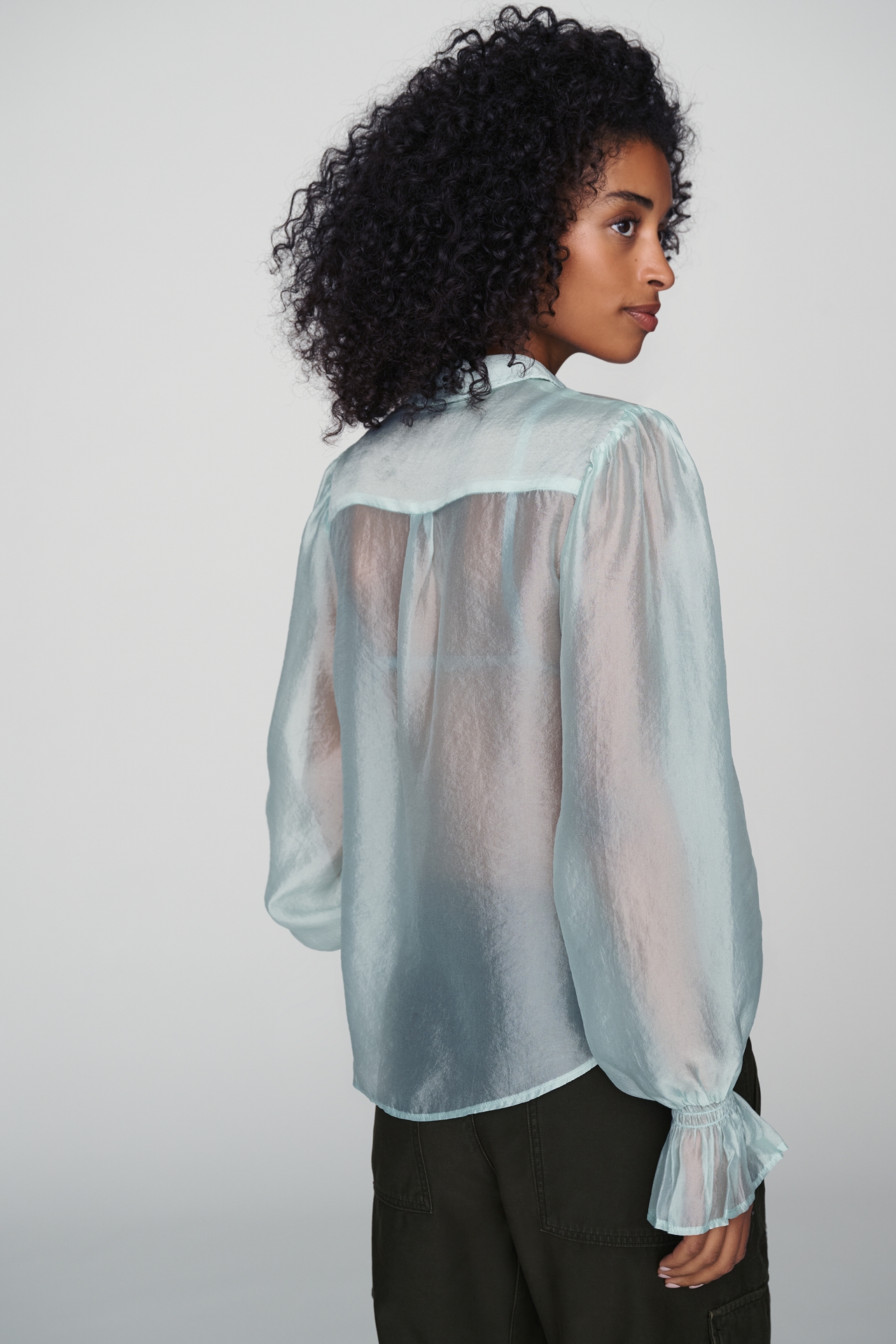 By Anthropologie Sheer Buttondown Blouse