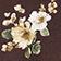 Brown Floral
