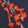 Red Floral