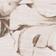 Ivory Pattern