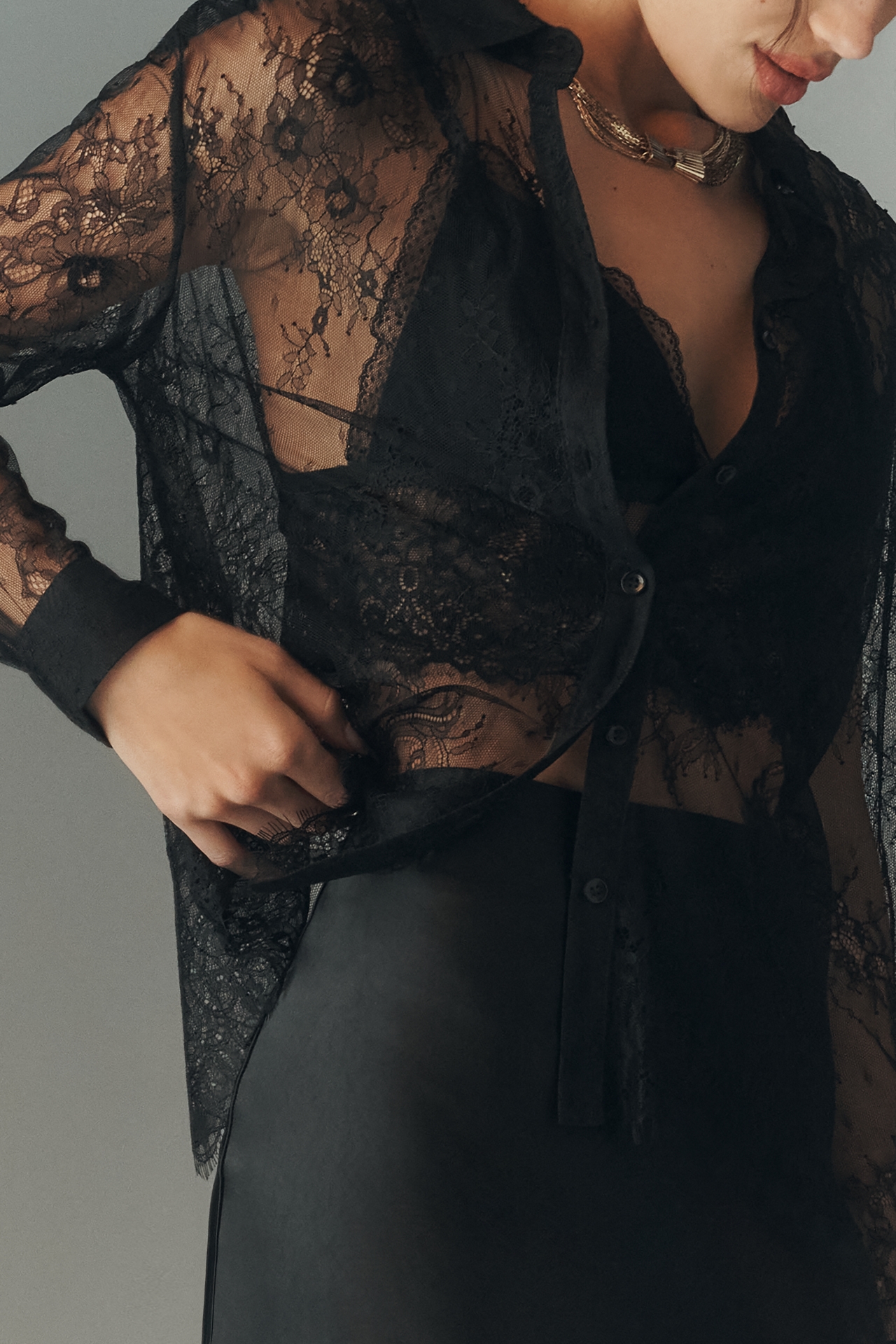 En Saison Darcy Long-Sleeve Sheer Lace Buttondown Top