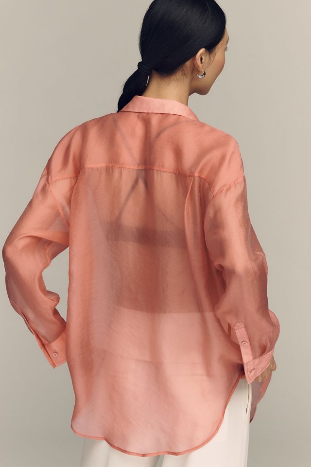 By Anthropologie Sheer Long-Sleeve Buttondown #1