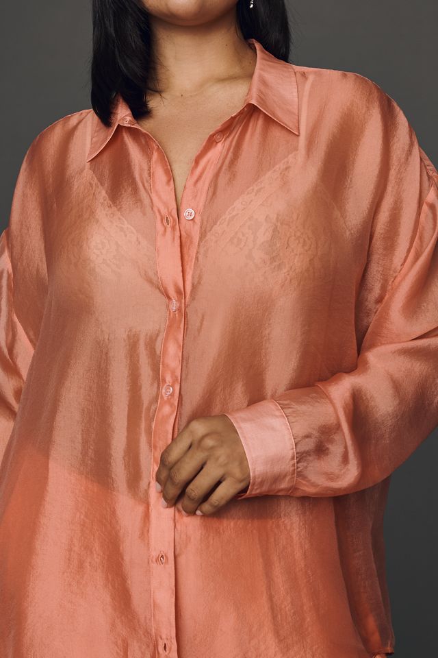 By Anthropologie Sheer Long-Sleeve Buttondown #7