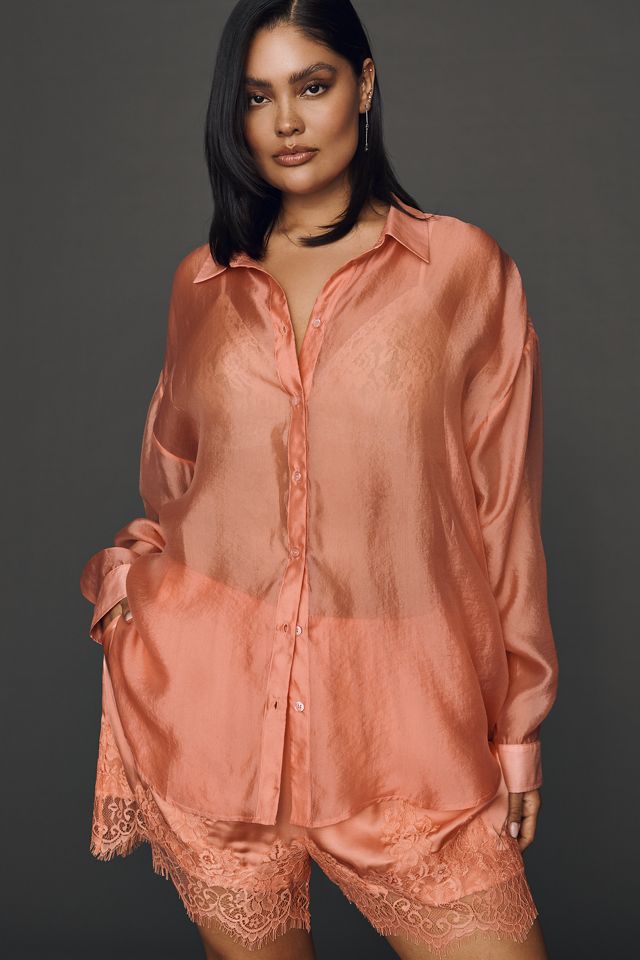 By Anthropologie Sheer Long-Sleeve Buttondown #4