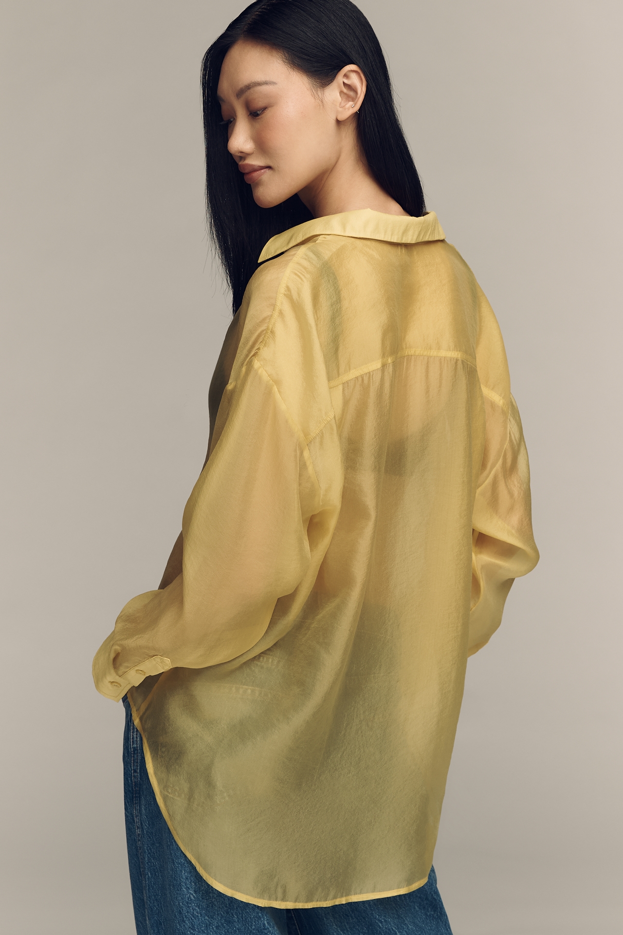 By Anthropologie Sheer Long-Sleeve Buttondown