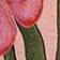 Anturio