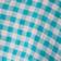 Turquoise Gingham