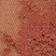 ROSE VIF