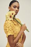 The Keira Collared Button-Front Blouse by Pilcro: Lace Edition