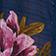 Blue Floral