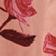 Pink Perfume & Roses