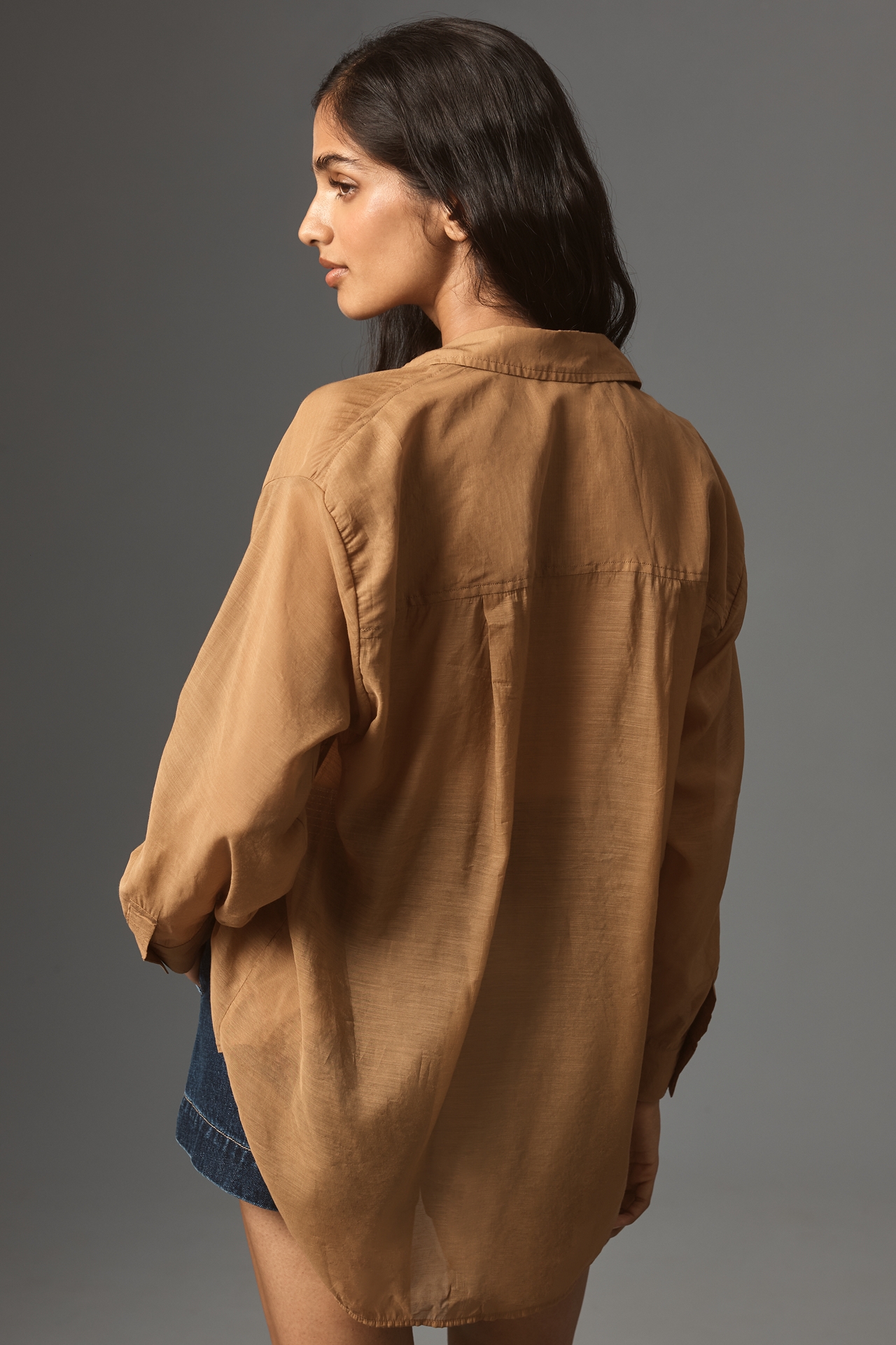 By Anthropologie Long-Sleeve Sheer Buttondown Shirt