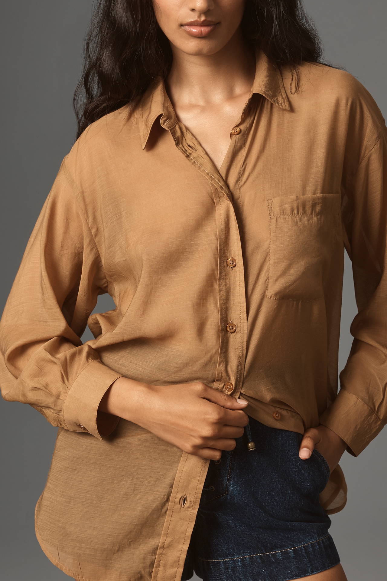 By Anthropologie Long-Sleeve Sheer Buttondown Shirt