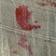 Ivory Pattern