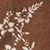 Brown Floral