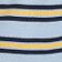 Blue Stripe