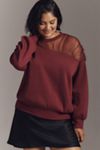 Maeve Sheer-Insert Cozy Pullover