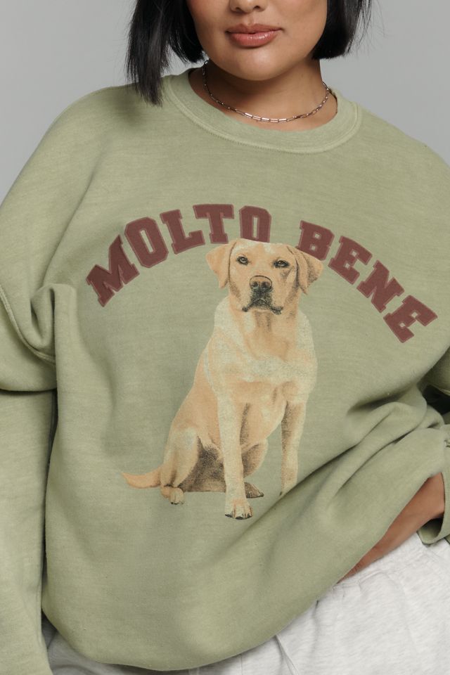By Anthropologie Dog Sweatshirt #6