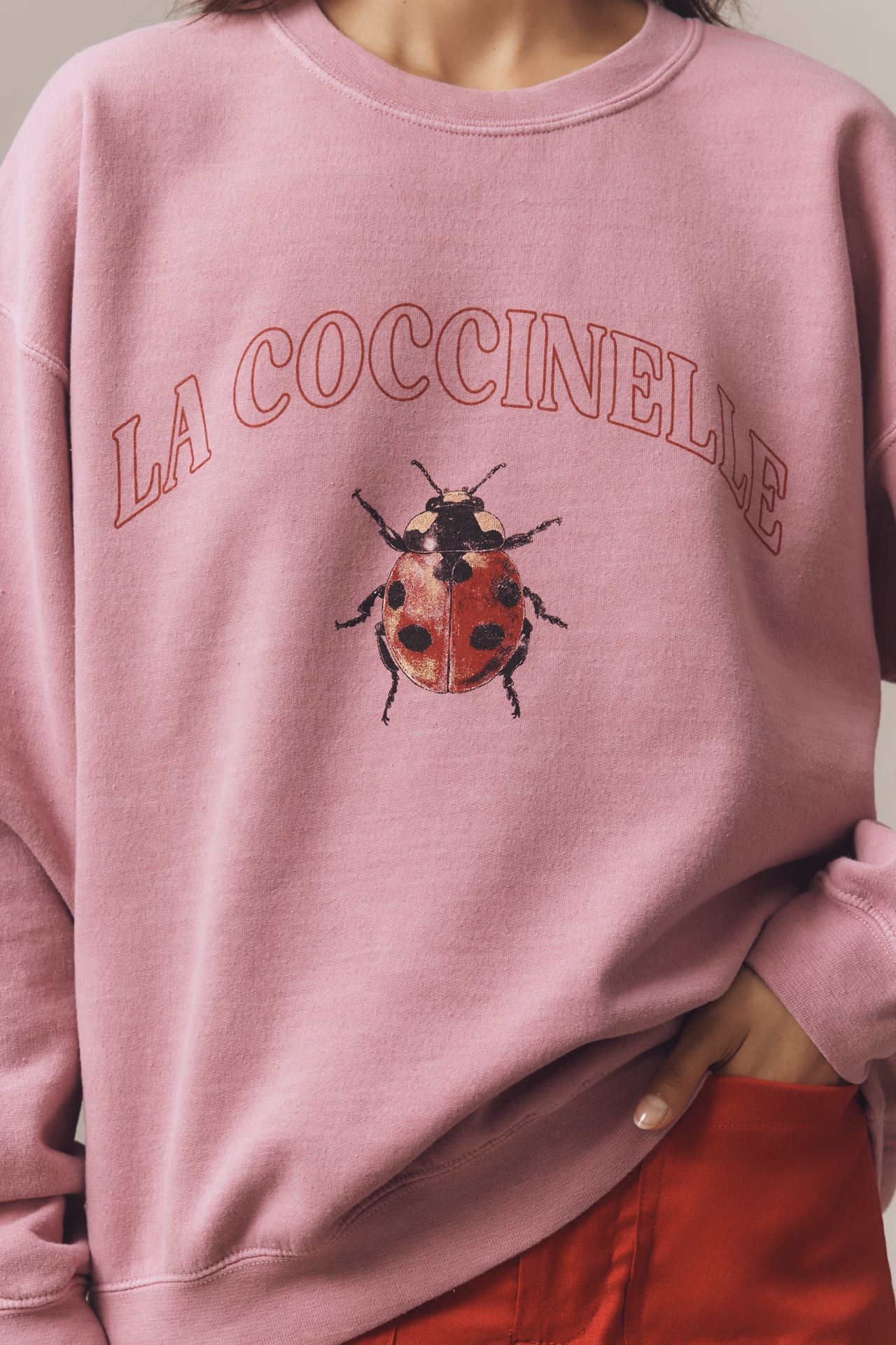 By Anthropologie Ladybug Graphic Sweatshirt