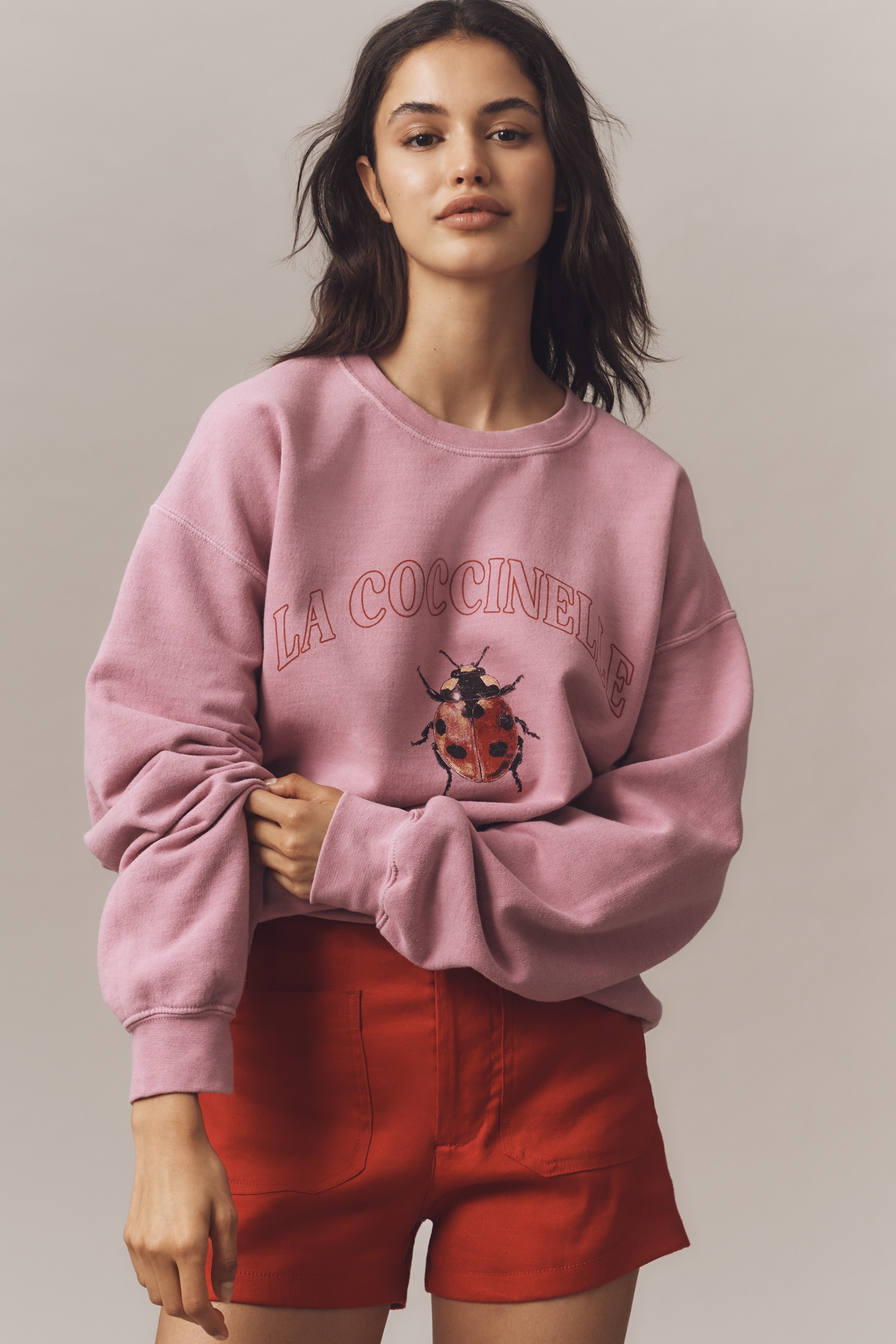 By Anthropologie Ladybug Graphic Sweatshirt