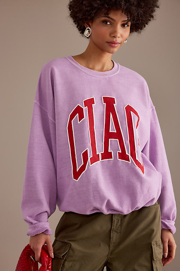 Anthropologie Ciao Oversized Crew Neck Sweatshirt In Pink