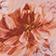 Pink Floral