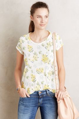 Sungarden Tee