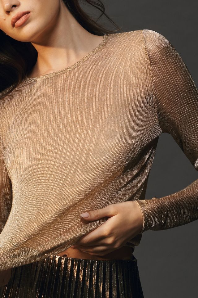 Sunday in Brooklyn Gilded Sheer Mesh Top #3