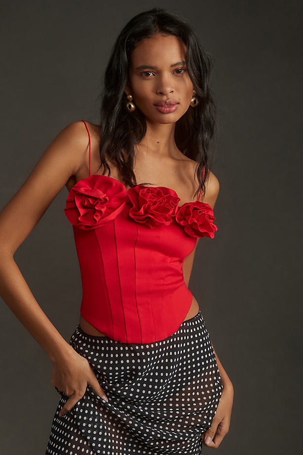 Sunday In Brooklyn Floral Corset In Red