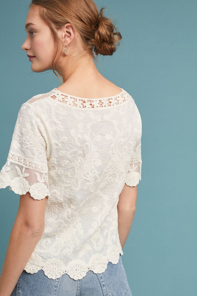 Pavlova Lace Top #1