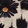 Black Floral