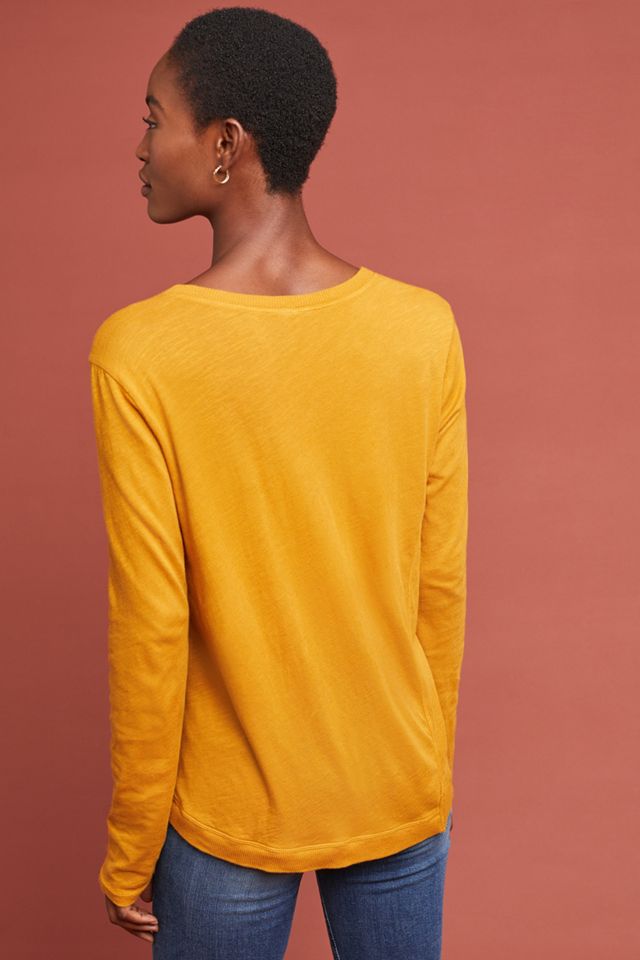 Webster Top #1