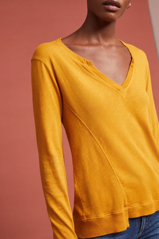 Webster Top #2