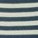 Blue Stripe