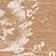 Neutral Pattern
