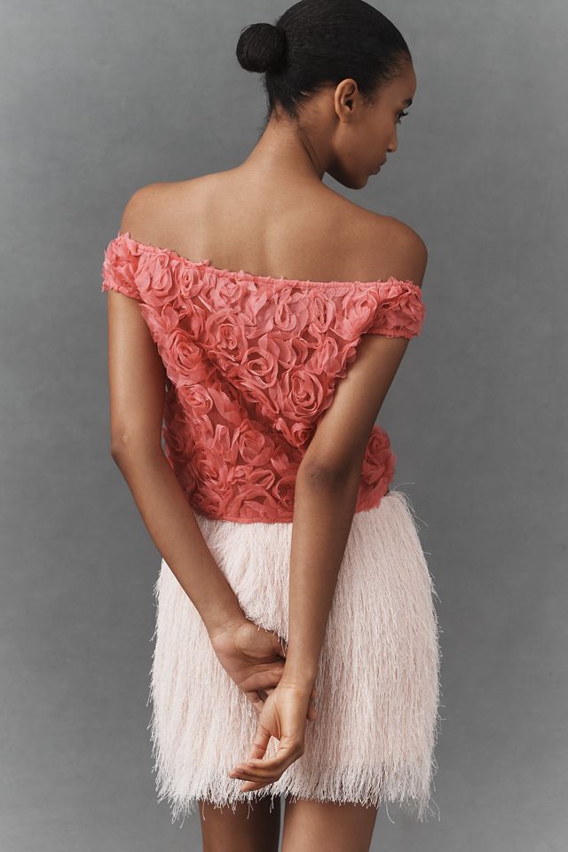 カットソー(半袖/袖なし) fetico ROSE VELVET TULLE SHIRRING TOP FETICO ROSE VELVET TULLE SHIRRING TOP - メルカリ