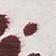 Brown Pattern