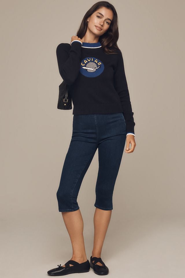Rachel Antonoff Caviar Intarsia Sweater #2