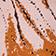 Brown Pattern
