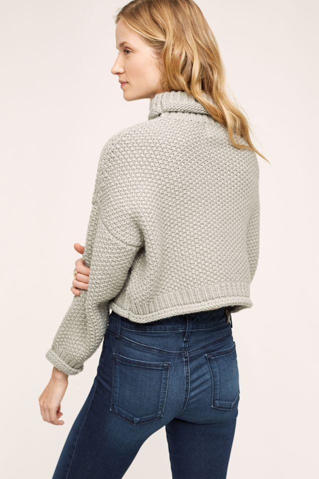 Chellie Cropped Turtleneck #1