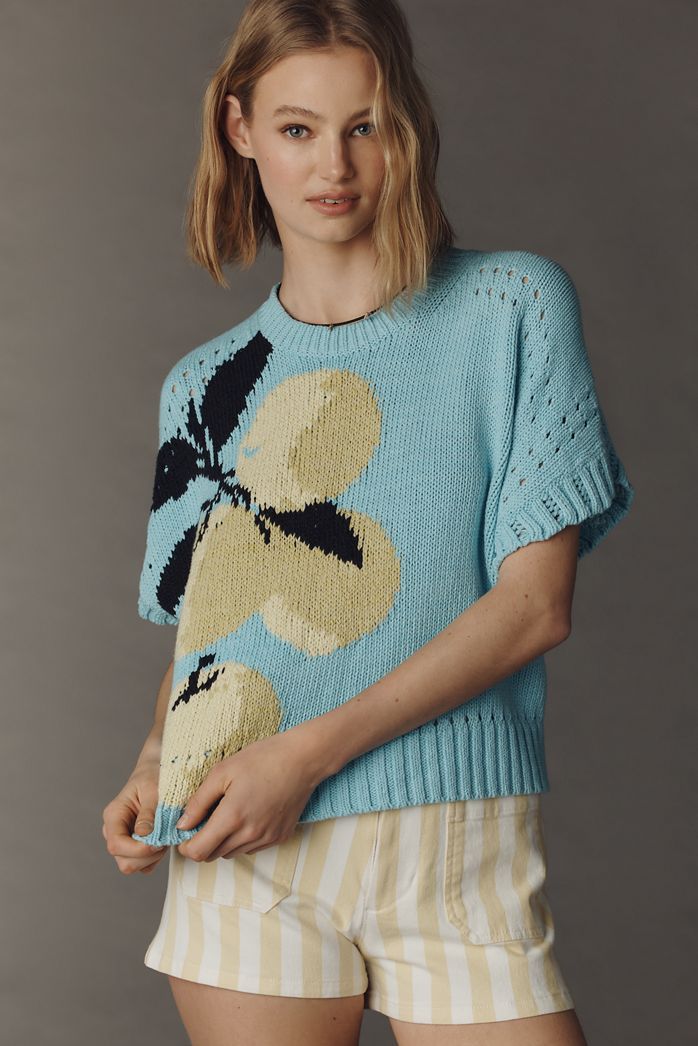 Maeve Short-Sleeve Crew-Neck Veggie Motif Graphic Jumper