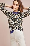 Sporty Leopard Sweater