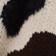 BROWN MOTIF