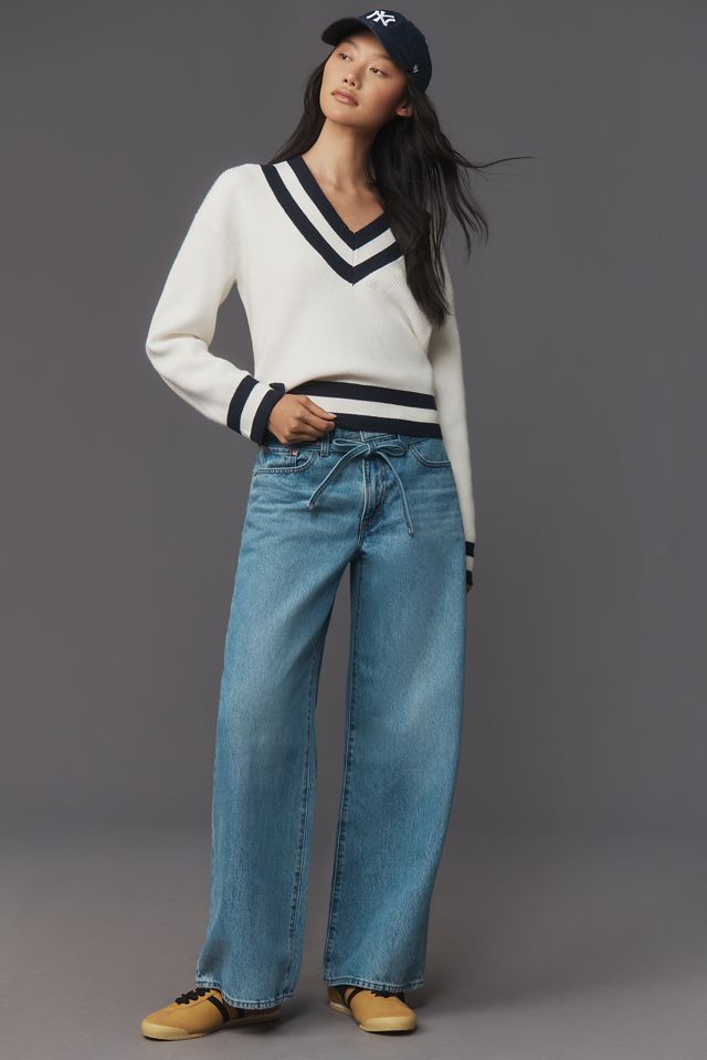 Grey Lab Tipped V-Neck Sweater | Anthropologie
