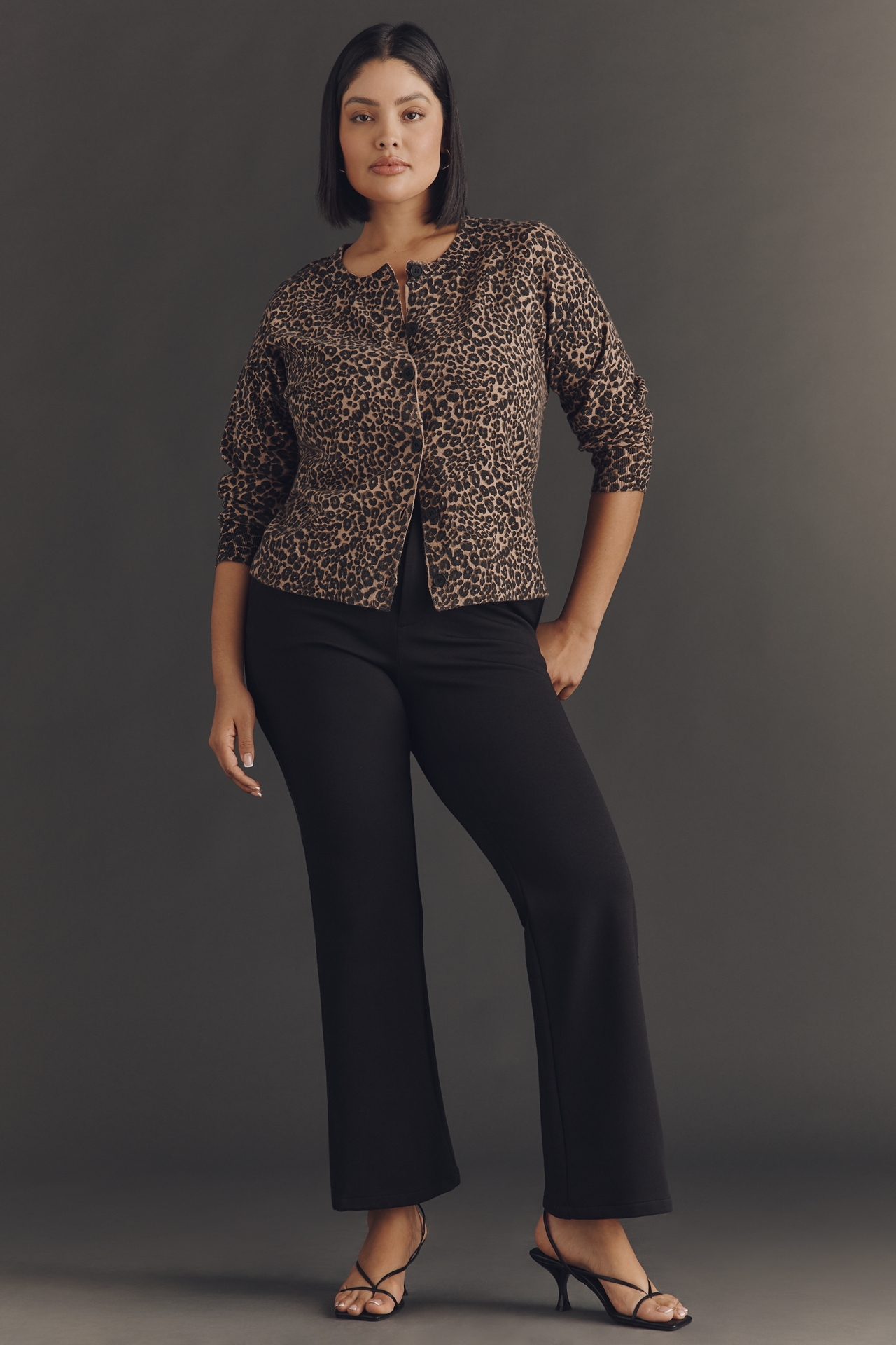 Sanctuary Plus Must-Have Cardigan Sweater