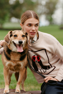 Flat White Crew-Neck Dog Icon Sweater product page