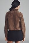 BLANKNYC Black Coffee Crop Suede Jacket